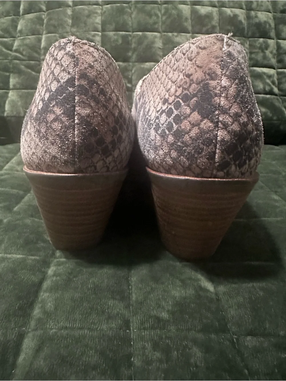 Lucky Brand Pointed Snake-Print Ankle Booties in Taupe and Black